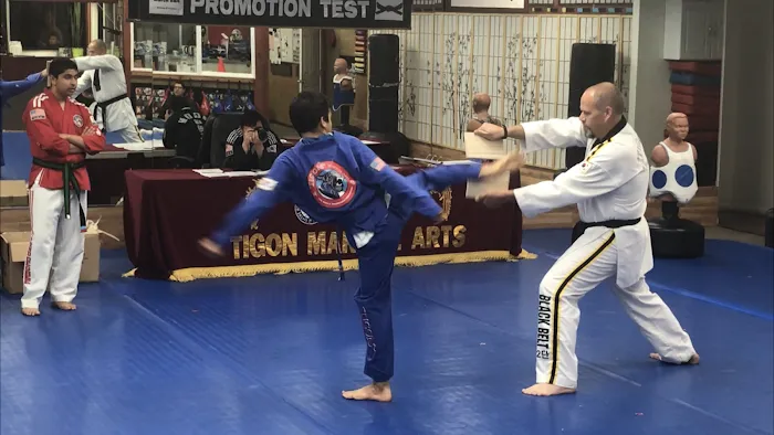 Tigon Martial Arts Inc Picture 10