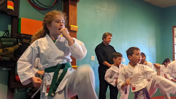 Karate Families Picture 2