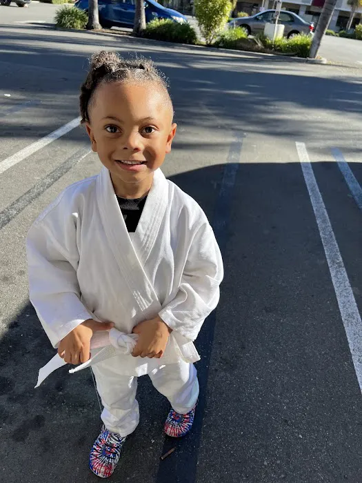 Karate Families Picture 5