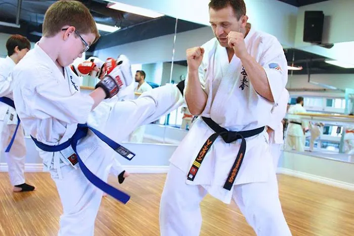 Elite Martial Arts Karate and BJJ Dojo Picture 3