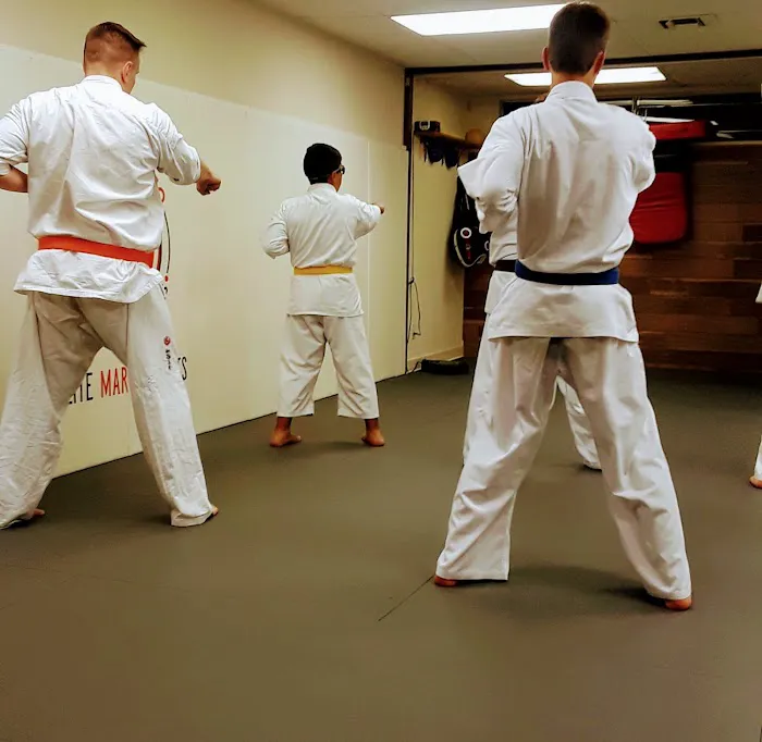 Elite Martial Arts Karate and BJJ Dojo Picture 4