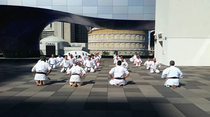 Elite Martial Arts Karate and BJJ Dojo Picture 7