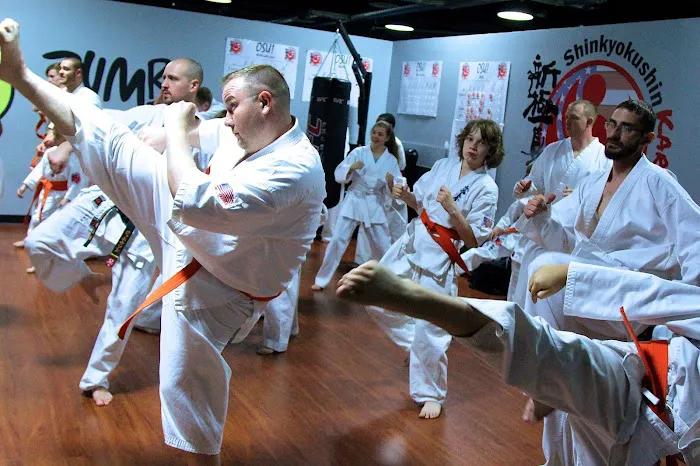 Elite Martial Arts Karate and BJJ Dojo Picture 5