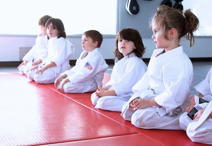 Elite Martial Arts Karate and BJJ Dojo Picture 9