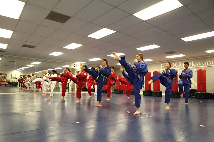 Elite Fitness Taekwondo Picture 2