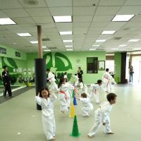 Elite Fitness Taekwondo ico