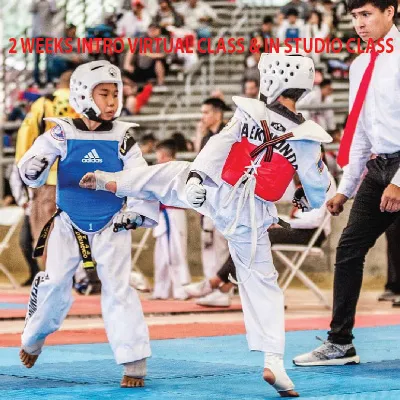 Elite Fitness Taekwondo Picture 7