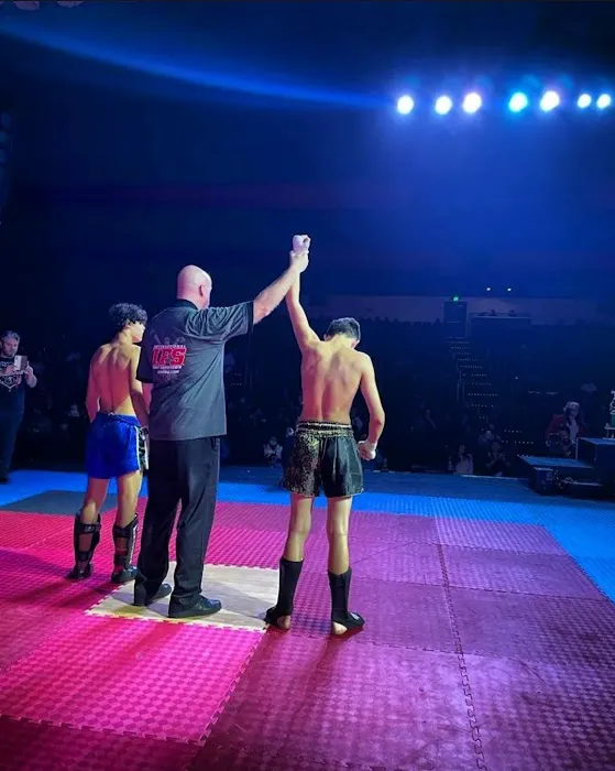 Vital Force Muay Thai & MMA Picture 3