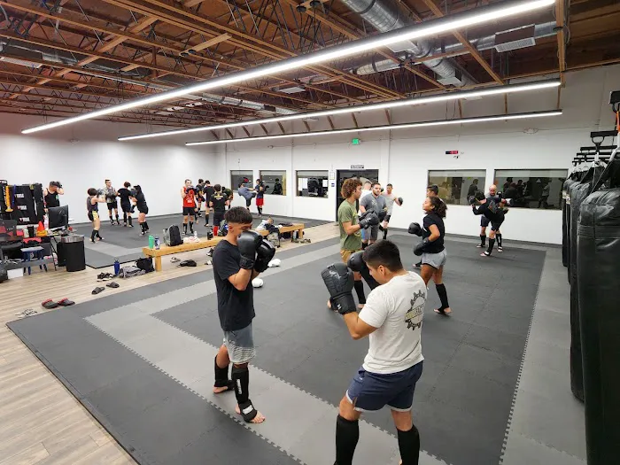 Vital Force Muay Thai & MMA Picture 2