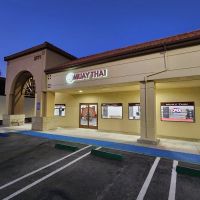 Vital Force Muay Thai & MMA ico