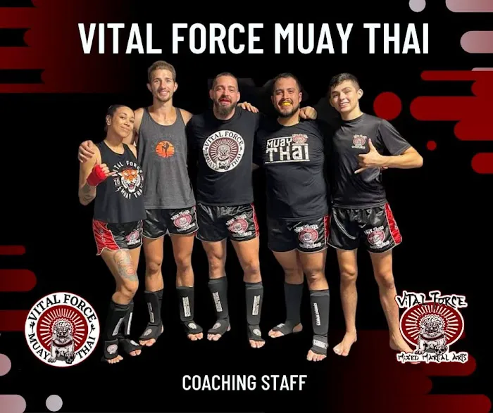 Vital Force Muay Thai & MMA Picture 6