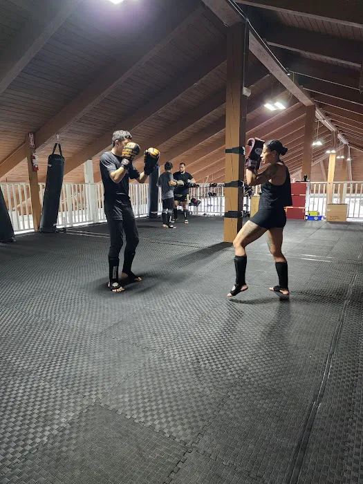 Vital Force Muay Thai & MMA Picture 7