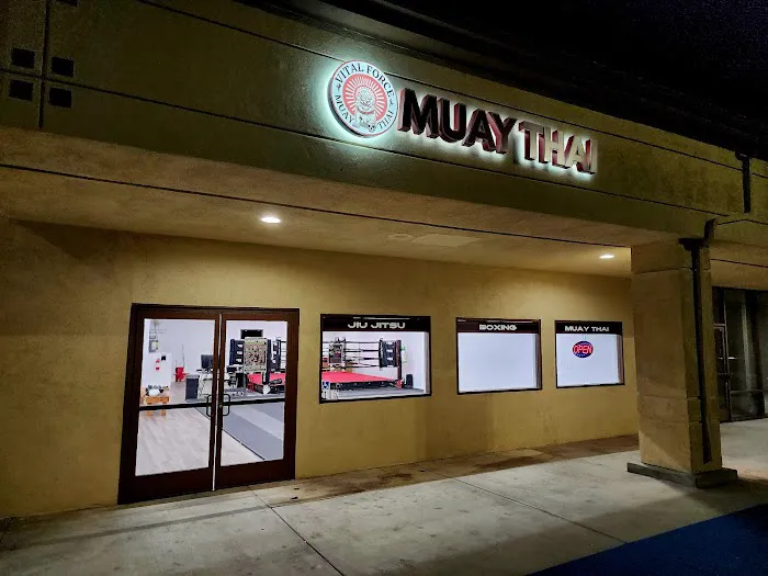 Vital Force Muay Thai & MMA Picture 5