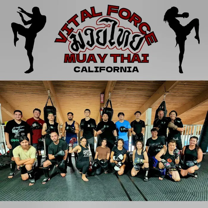 Vital Force Muay Thai & MMA Picture 9
