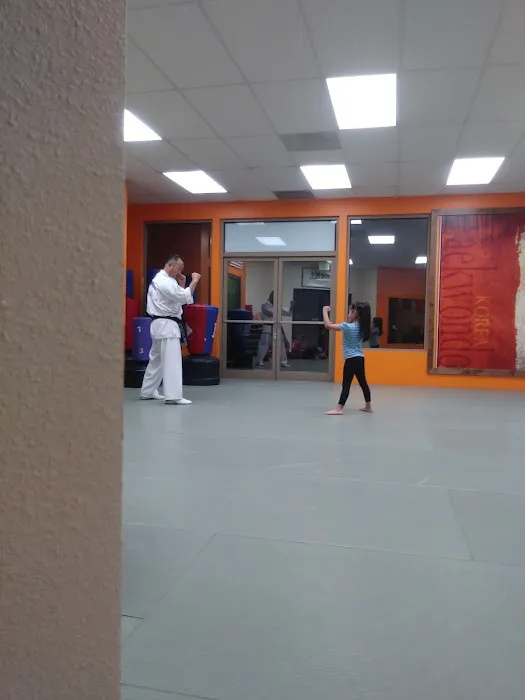 US taekwondo Center Picture 1