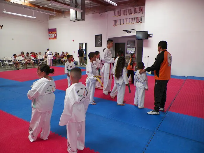 Olympic Taekwondo Academy Picture 2
