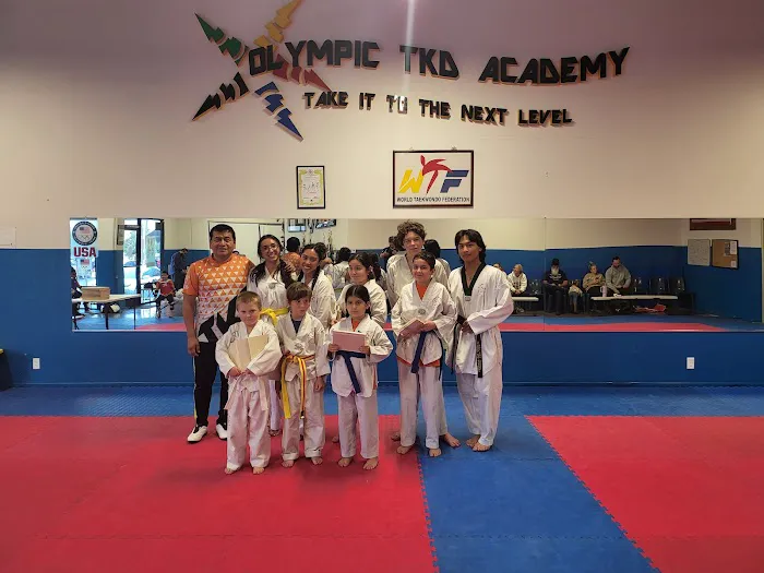 Olympic Taekwondo Academy Picture 1