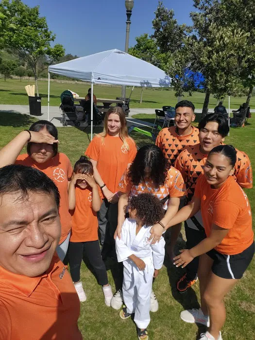 Olympic Taekwondo Academy Picture 4