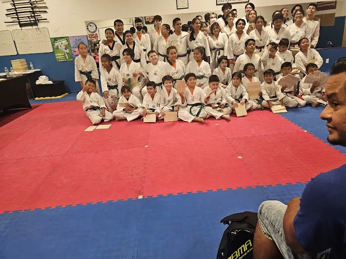 Olympic Taekwondo Academy Picture 3