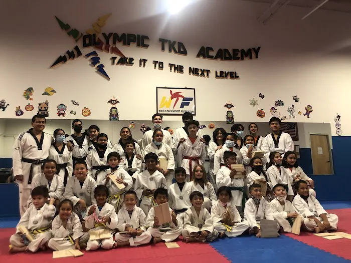Olympic Taekwondo Academy Picture 9