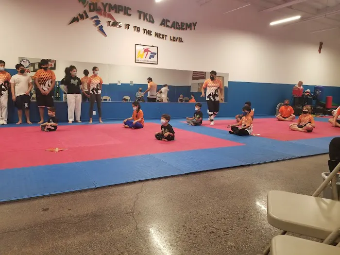 Olympic Taekwondo Academy Picture 8
