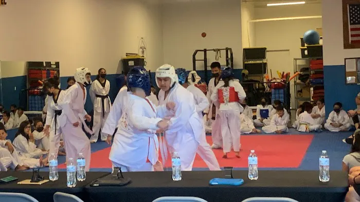 Olympic Taekwondo Academy Picture 10