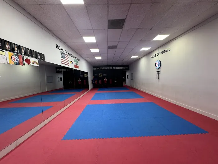 Bibak Taekwondo Academy Picture 2