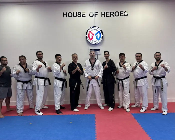 Bibak Taekwondo Academy Picture 1