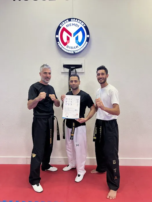 Bibak Taekwondo Academy Picture 6
