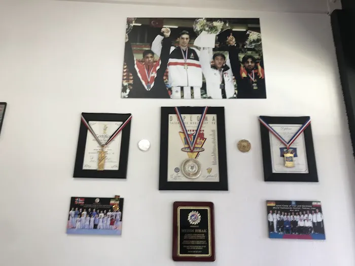 Bibak Taekwondo Academy Picture 4