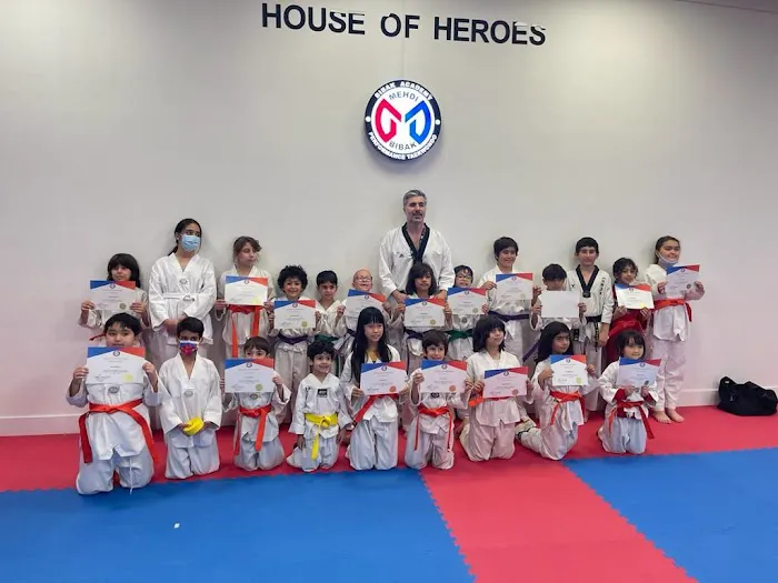 Bibak Taekwondo Academy Picture 7