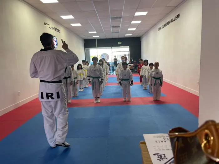 Bibak Taekwondo Academy Picture 3