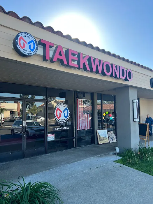 Bibak Taekwondo Academy Picture 9