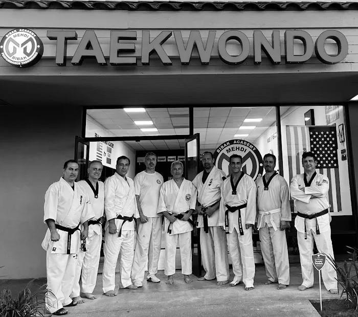 Bibak Taekwondo Academy Picture 10