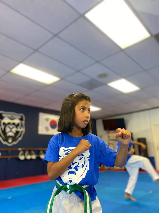 YONG-IN Martial Arts_Lake Forest Picture 8