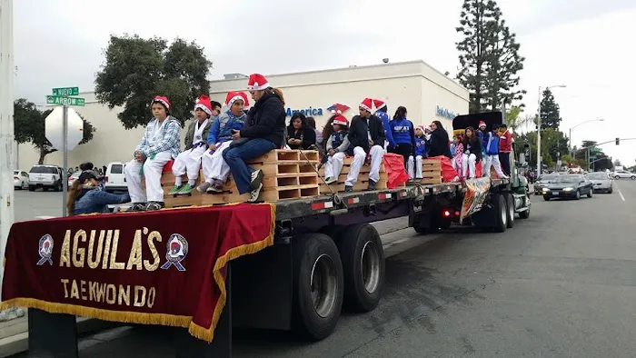 Aguila's Tae Kwon Do Picture 9