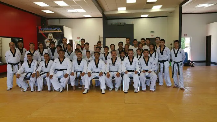 Aguila's Tae Kwon Do Picture 8
