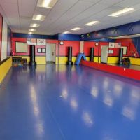 U.S. Champions Taekwondo ico