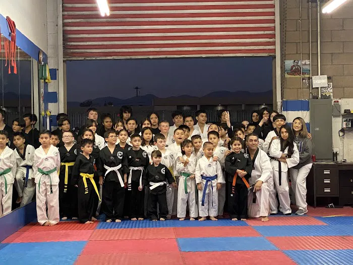 Master Hernandez Tae Kwon Do Picture 3
