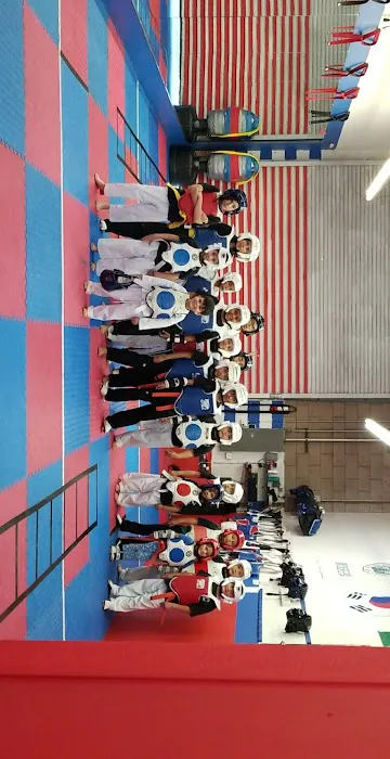 Master Hernandez Tae Kwon Do Picture 4