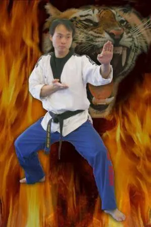 America Taekwondo Center Picture 7