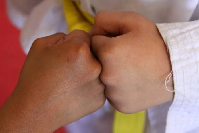 America Taekwondo Center Picture 6