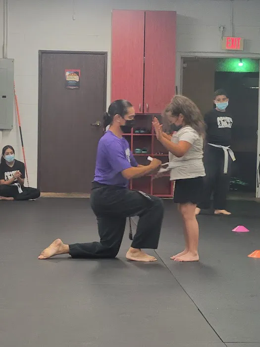 Chozen Martial Arts Picture 5