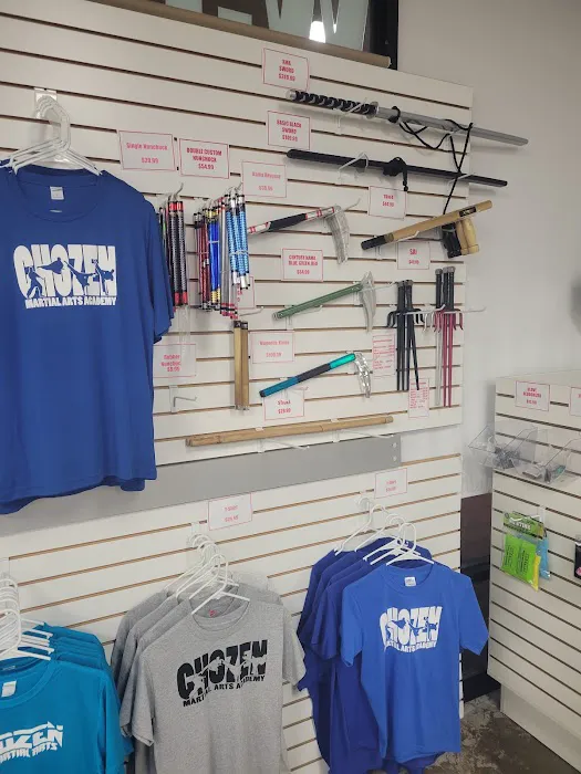 Chozen Martial Arts Picture 6