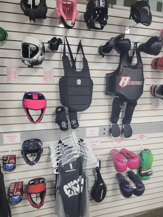 Chozen Martial Arts Picture 8