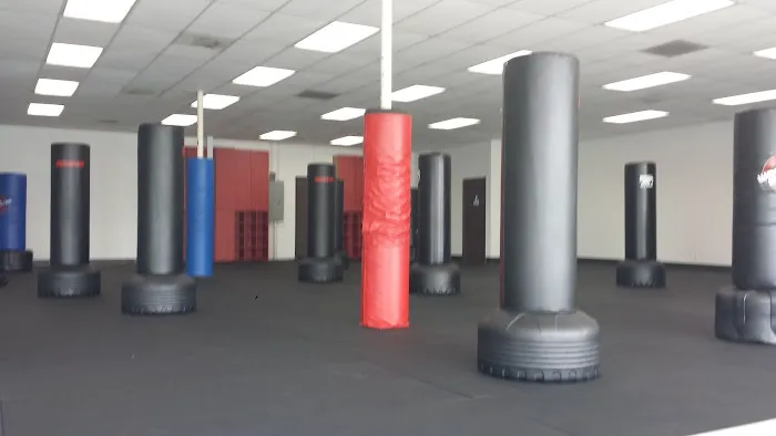 Chozen Martial Arts Picture 10