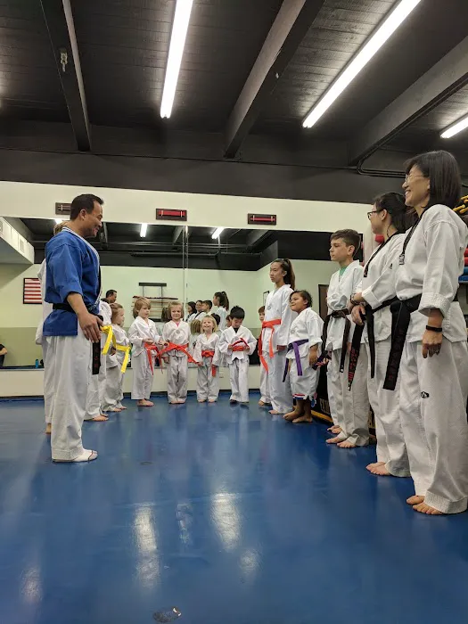 Family Martial Arts Center Picture 6