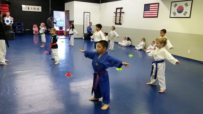 Family Martial Arts Center Picture 4