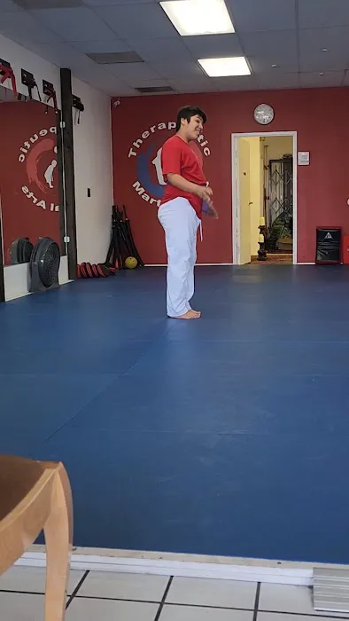 Tae Kwon Do Picture 2