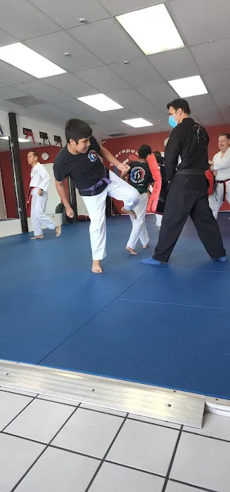 Tae Kwon Do Picture 1